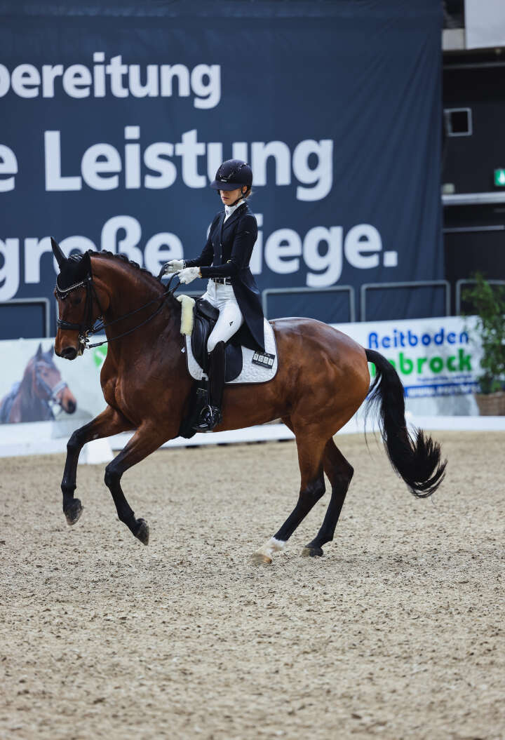 baumgürtel firstvienna